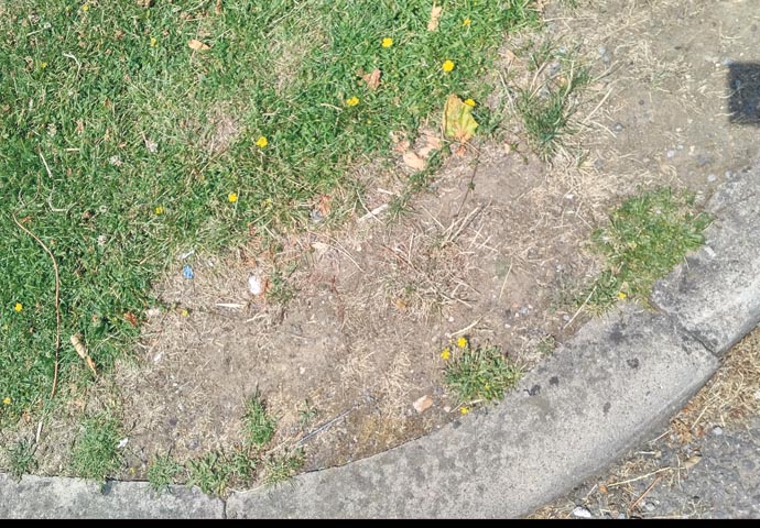 Holly Lodge Estate Erosion 1