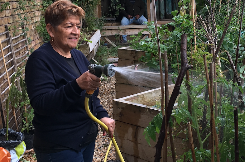 Coronavirus: Calthorpe Community Garden calthorpe