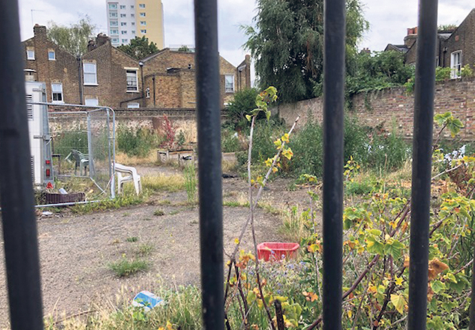 Bassett Street Community Garden