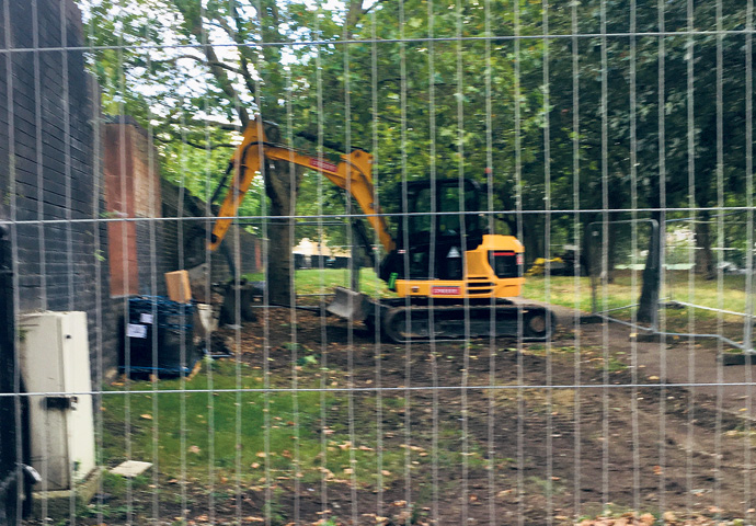 Brill Place uprooting trees