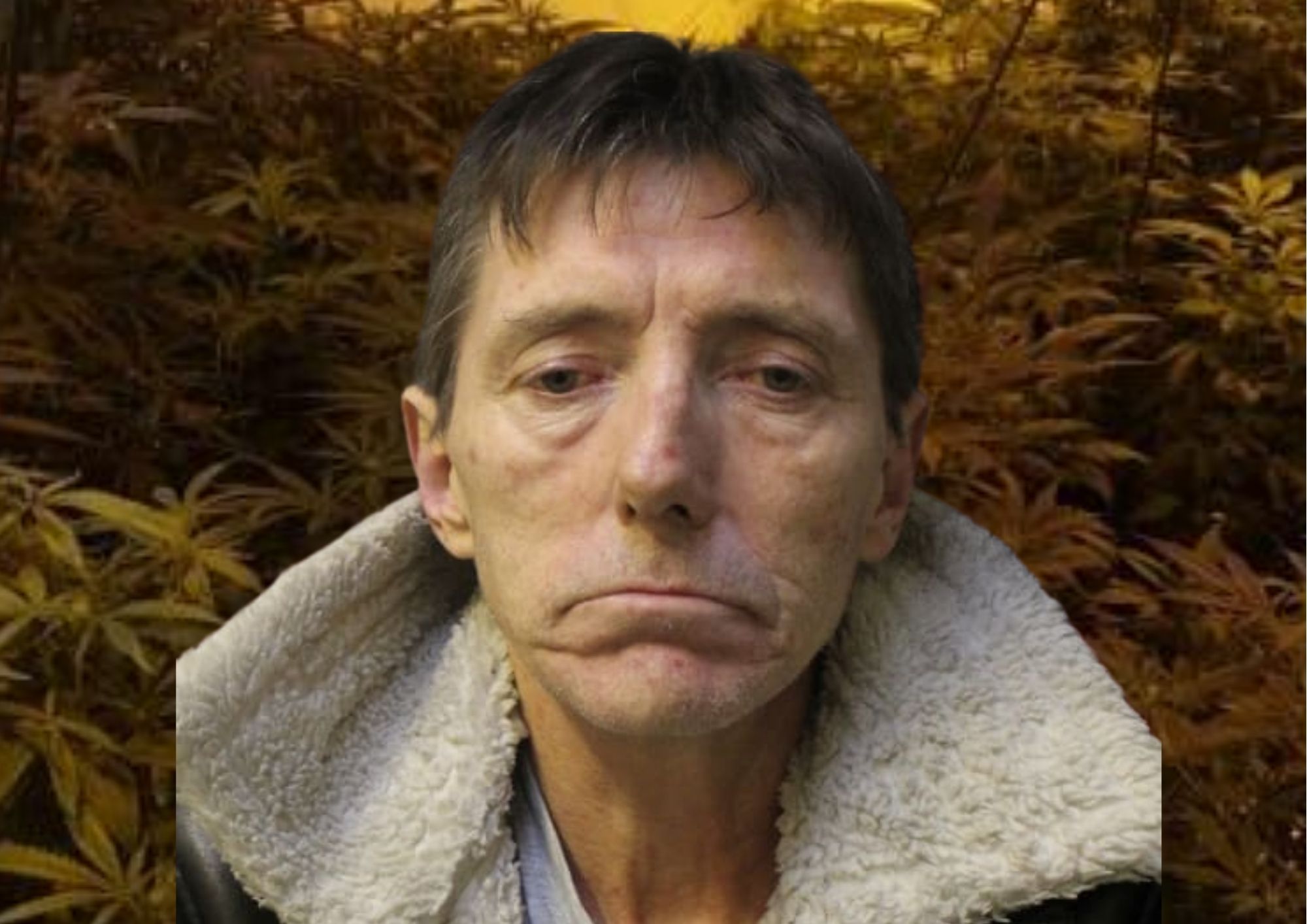 Man jailed after discovery of secret cannabis farm Copy of Untitled