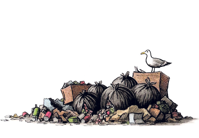 Seagull rubbish cartoon