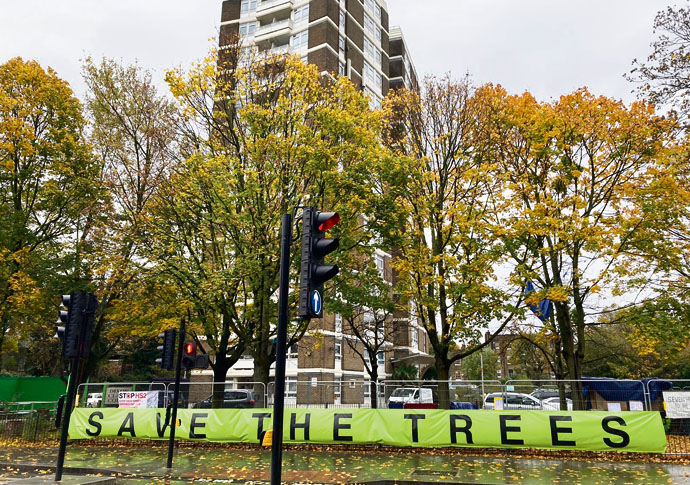 Dixon Clark Court trees