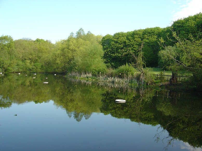 What is the sewage that has shut down Hampstead Heath’s Ladies Pond? Eiv2bxyWAAAtzW3