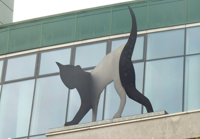 ‘Exhausted’ NHS staff fear there’s no end in sight Whittington cat