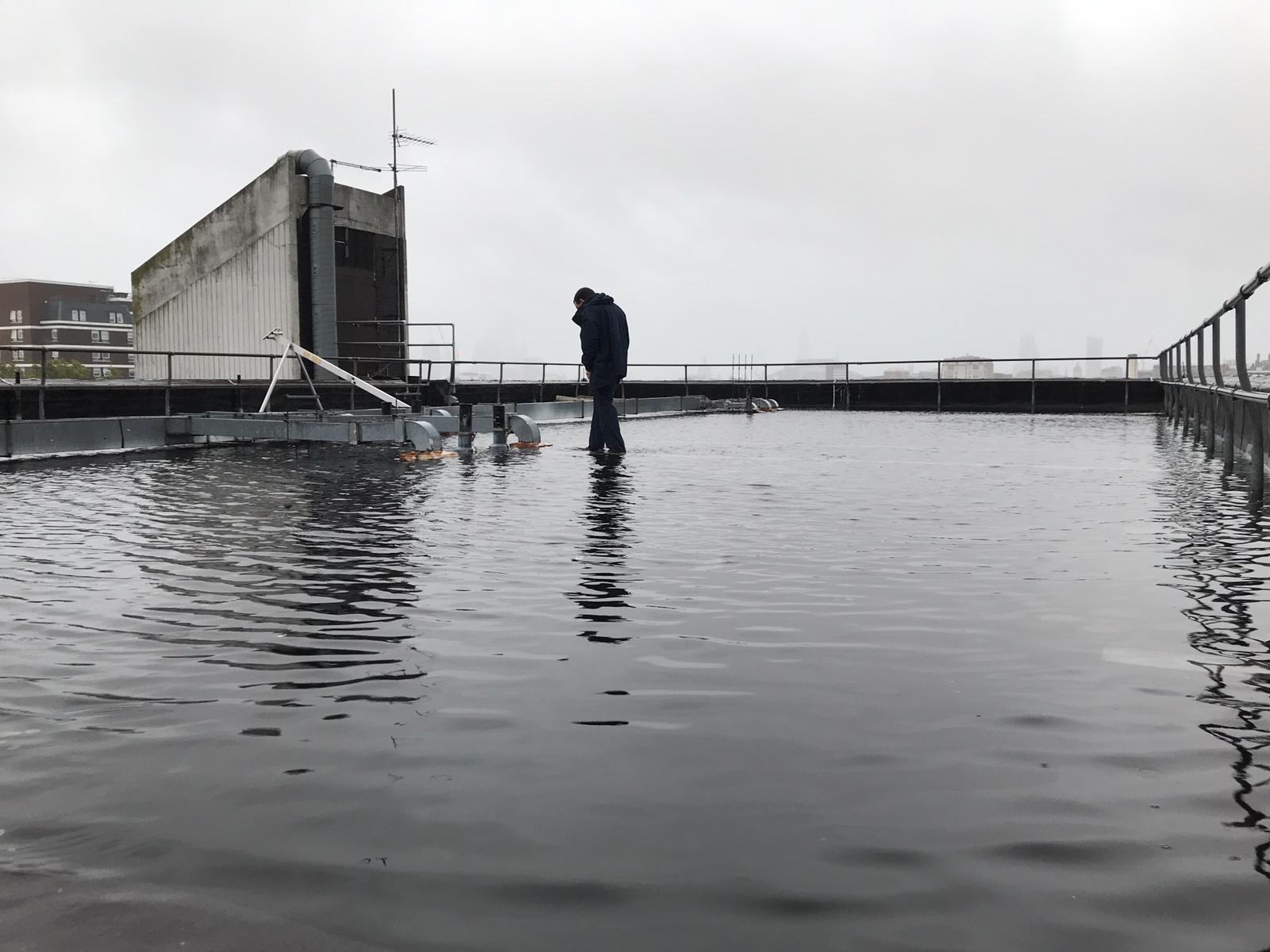 Water leaks into council flats from giant rainwater pool on roof cnj0ct8 Image 2020-10-08 at 10.13.48 (16)
