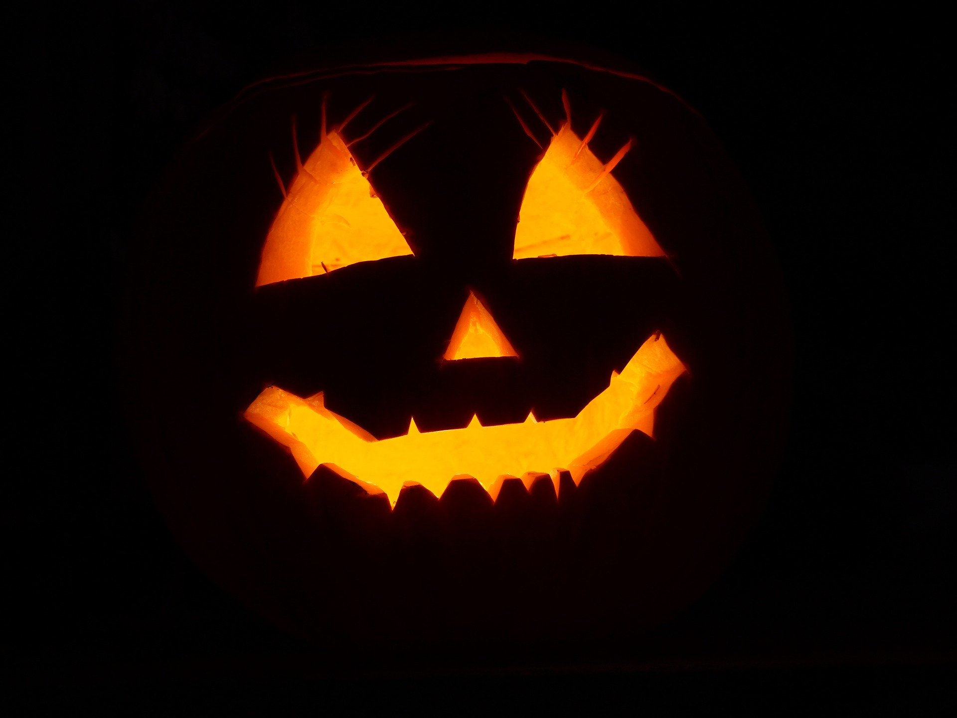 Coronavirus: Celebrating Halloween safely halloween pumpkin-2892303_1920