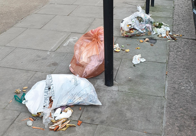 Fortune Green Road rubbish