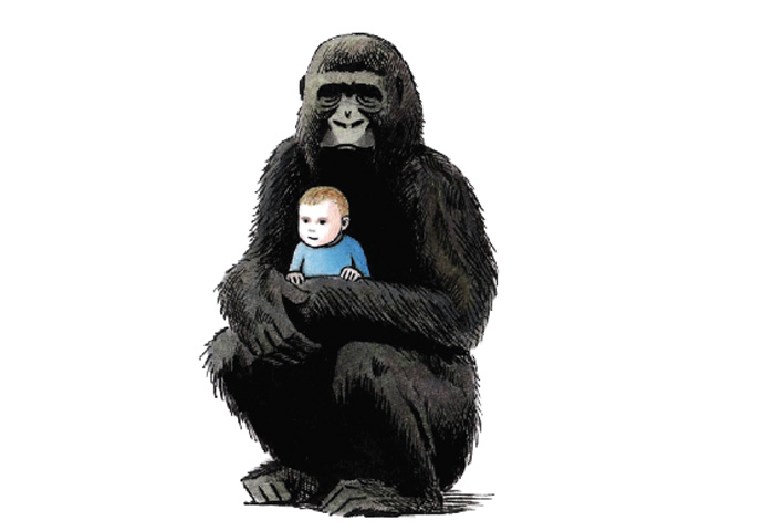 Gorilla cartoon_John Sadler