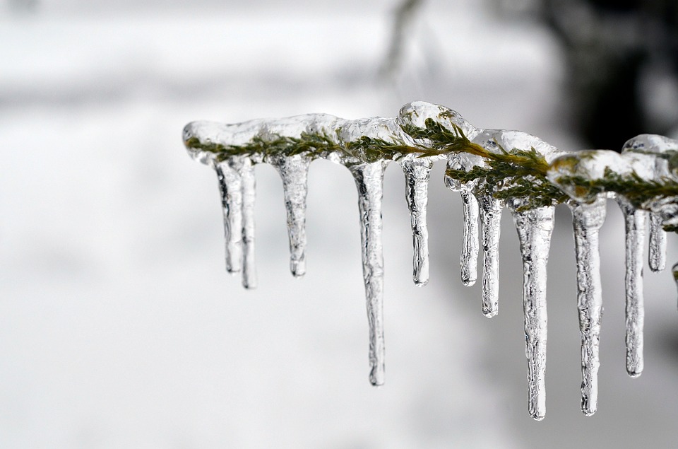 Coronavirus: Mental health support ice-1343342_960_720