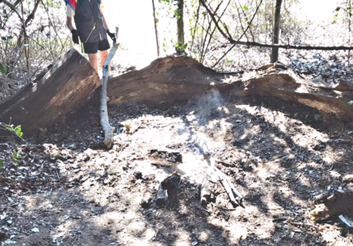 Hampstead Heath fire