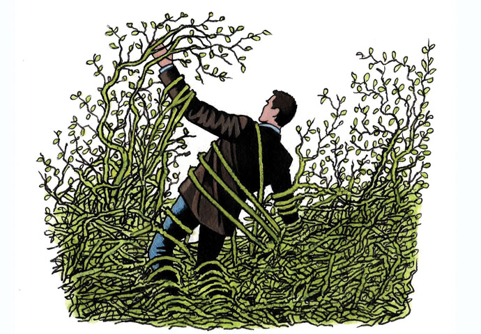 Overgrown foliage cartoon_John Sadler