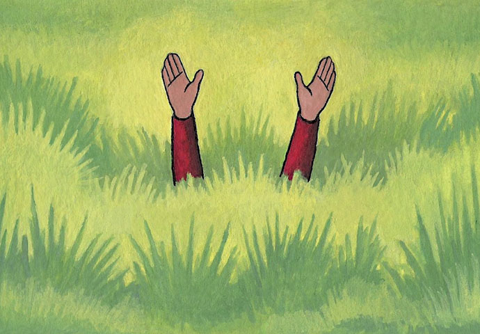 Long Grass_John Sadler