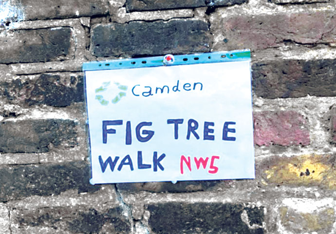 Fig Tree Walk notice