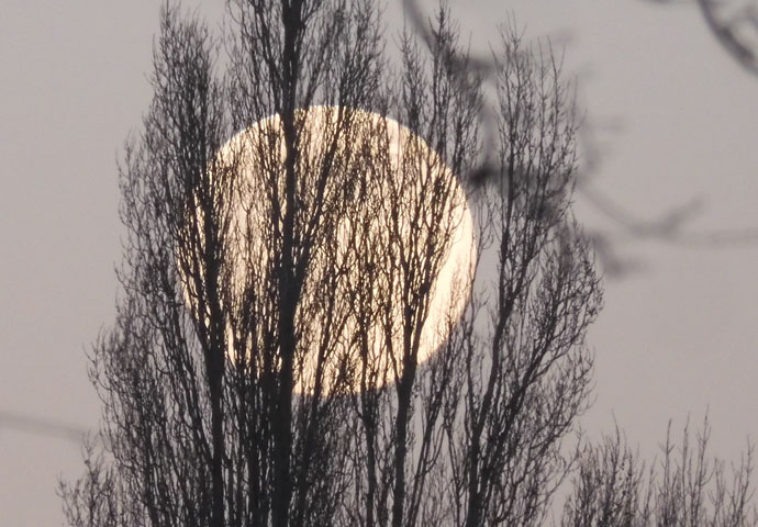 Moon over Hampstead Heath