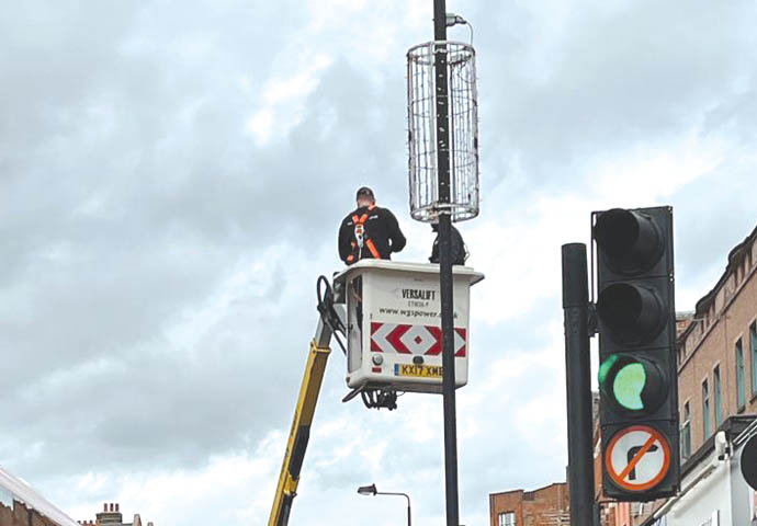 Golden doners on lampposts