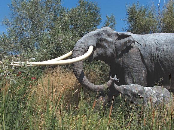 Ice Age straight-tusked elephant and hippo bones found in Camden sewer Screenshot 2022-08-19 at 13.31.50