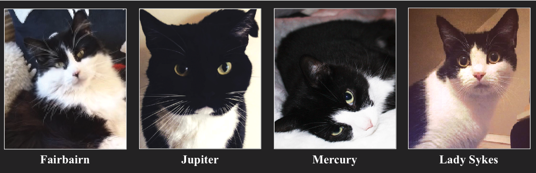 ‘My heart is broken’: Woman loses four pet cats in fireball blaze at flat Screen Shot 2023-01-19 at 12.09.24