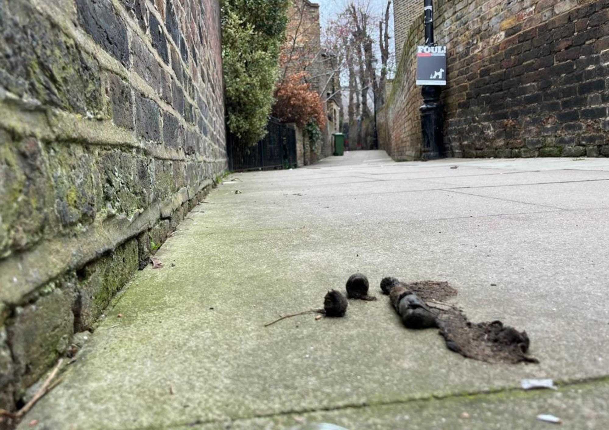 dog poo alley
