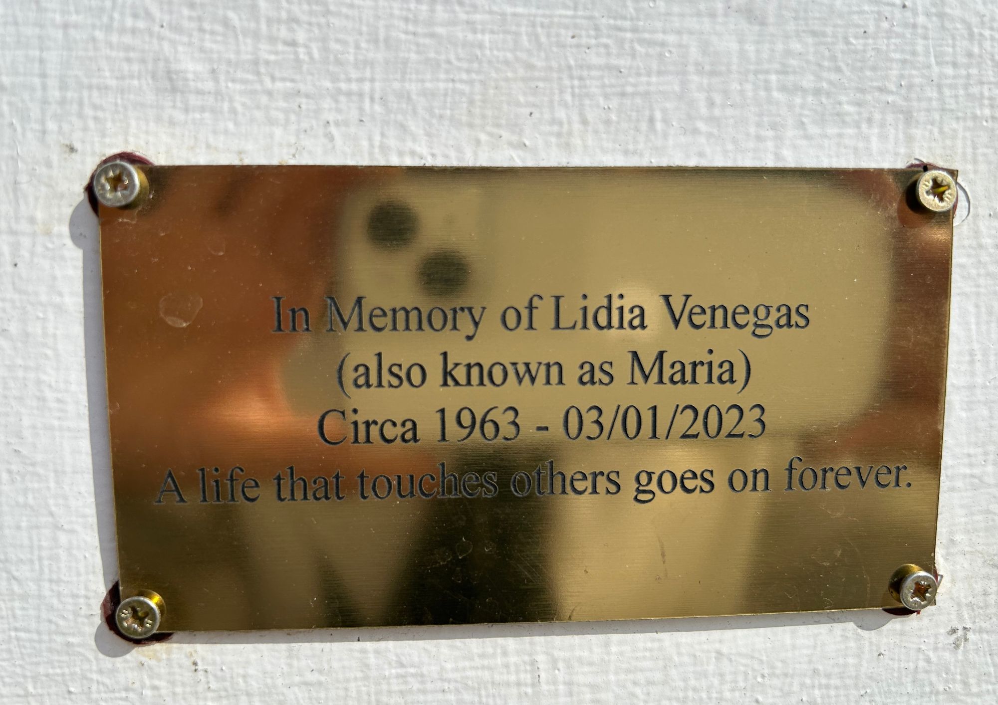 lidia plaque