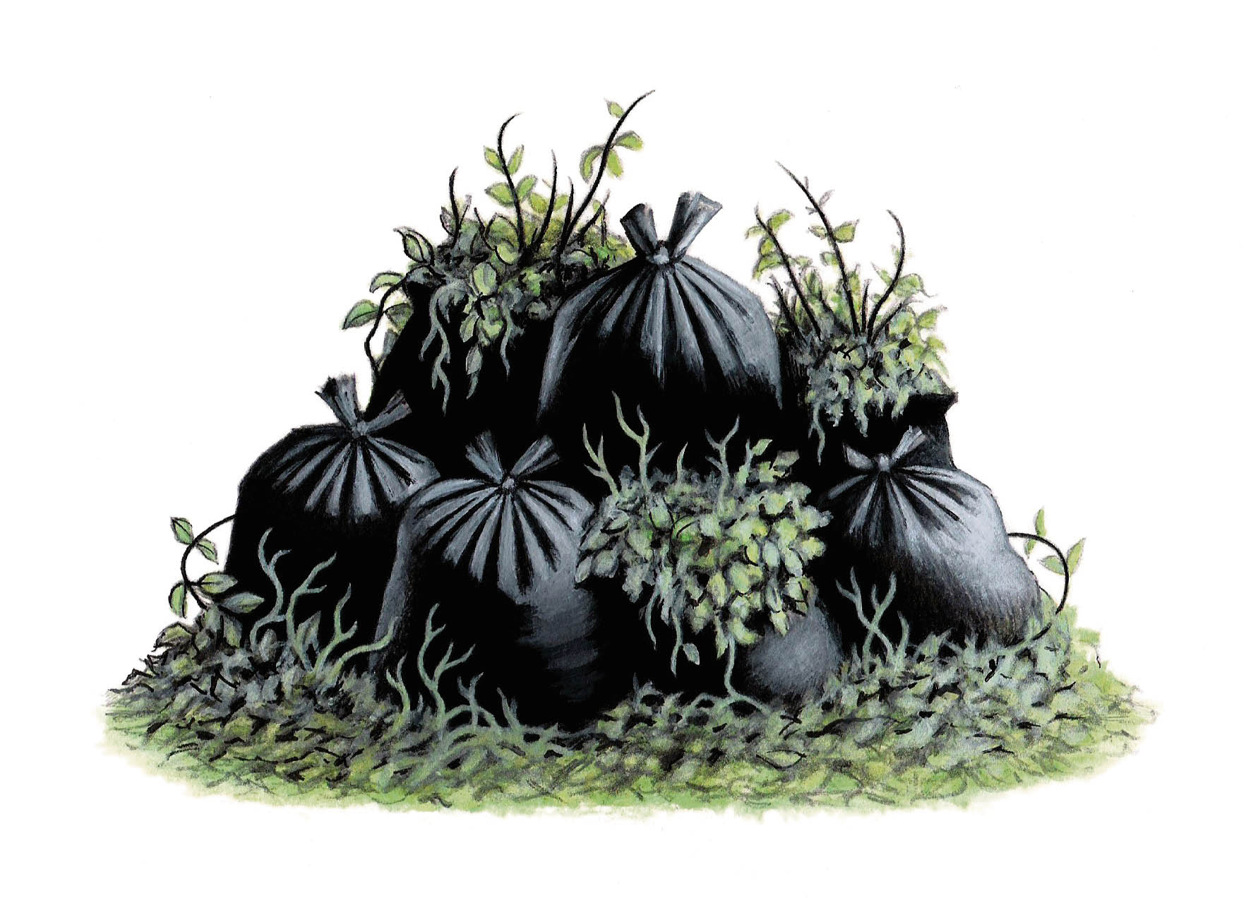 Garden waste and a waste of time and money Garden Waste Collection_John Sadler