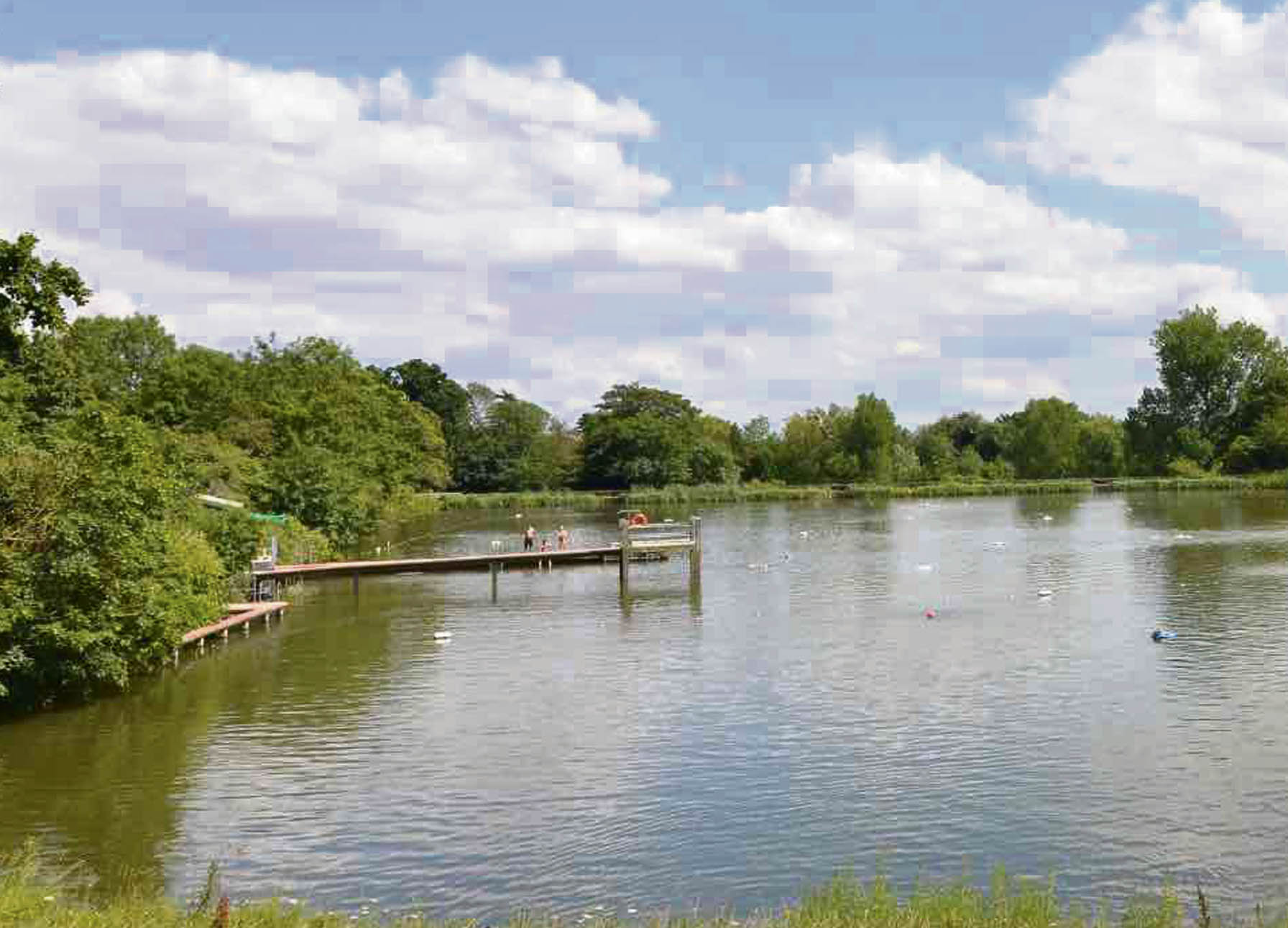 Pond life & the City Men's pond
