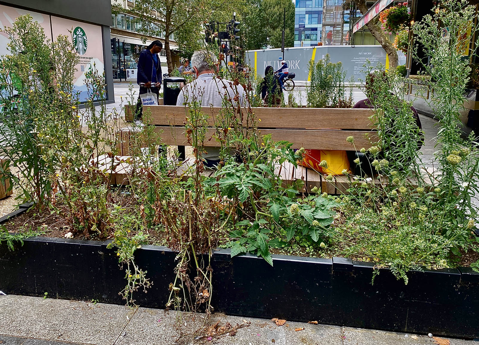 Good ‘greening’ could be beneficial American church on Tottenham Court Road