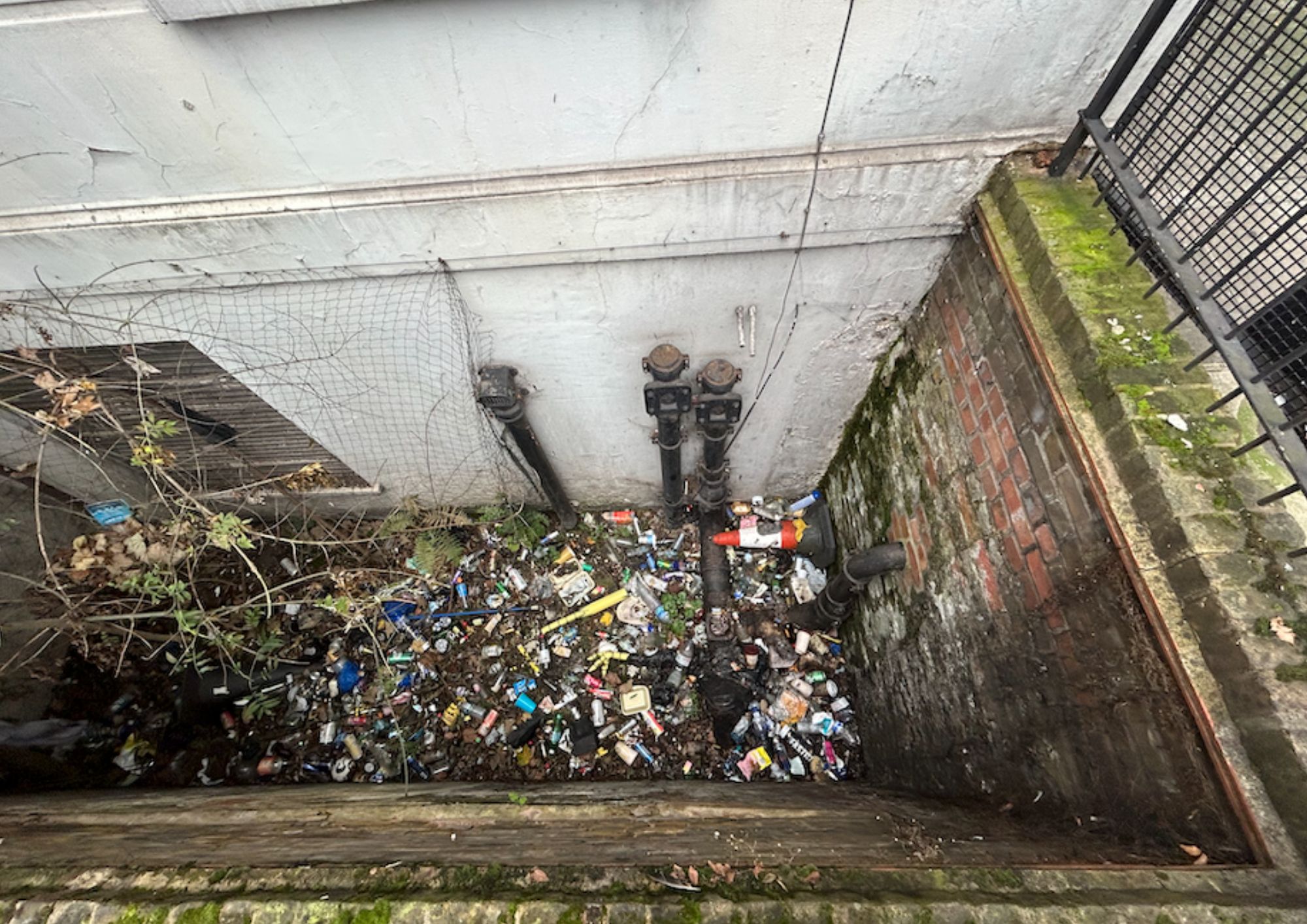 Why is urination such a problem in the 21st century? koko mess (1)