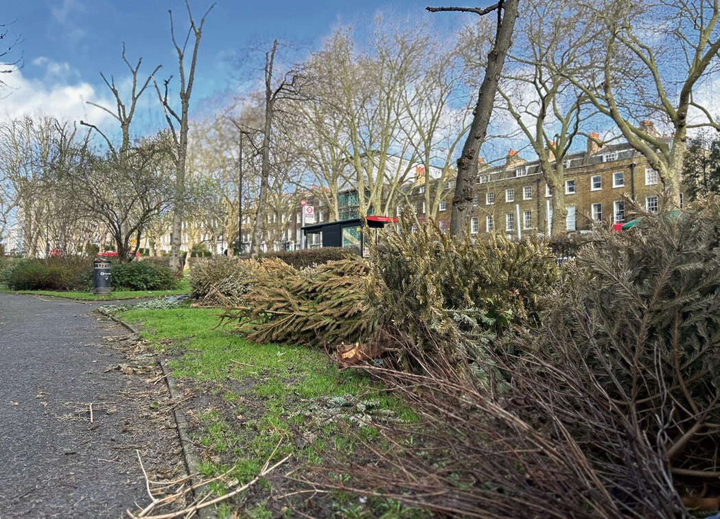 Christmas trees-Highgate-Evans-Letters