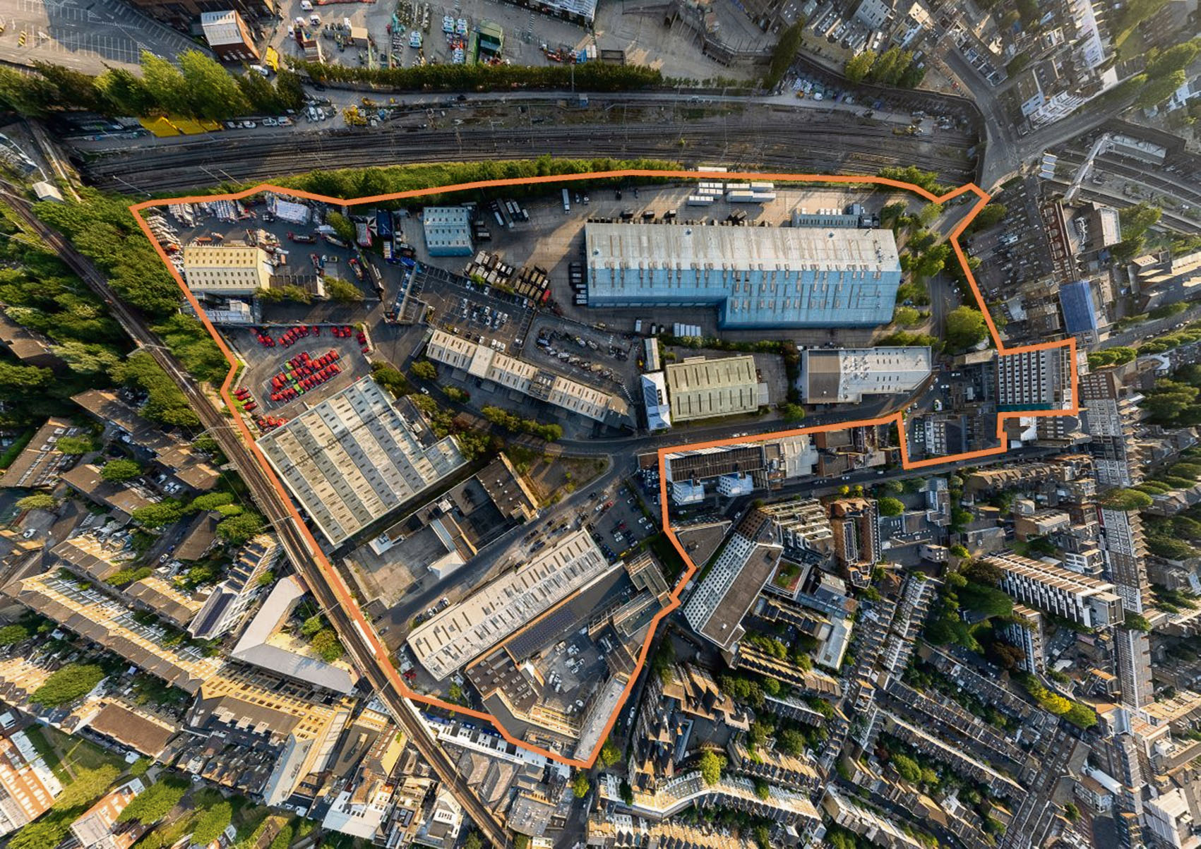 Regis bird'seye