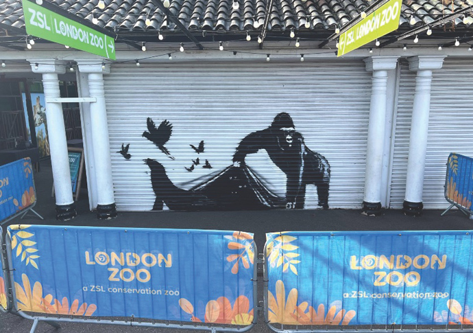 Zoo ‘buzzing’ over new Banksy mural showing… animals escaping captivity Banksy zoo