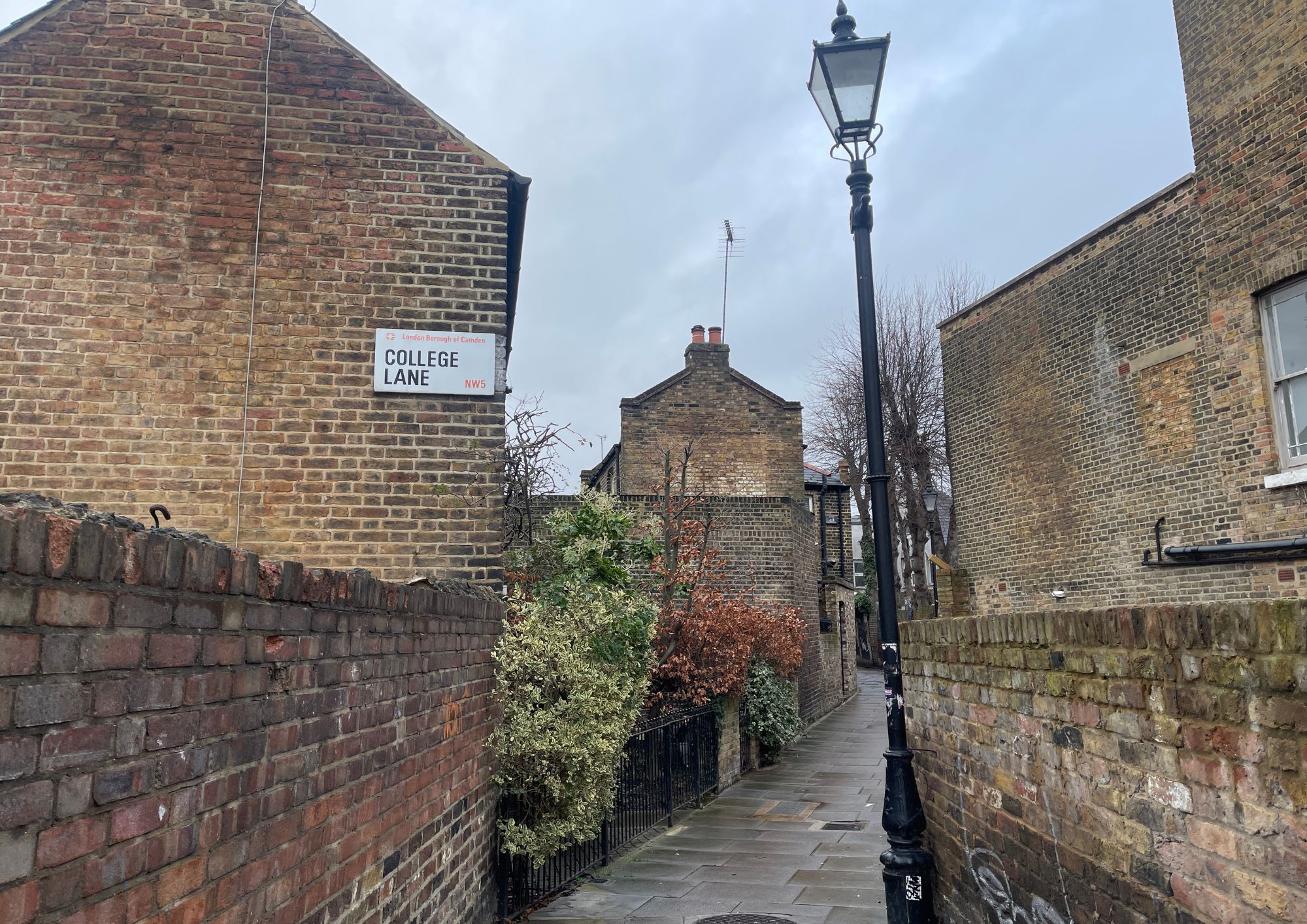 dog poo alley (1)