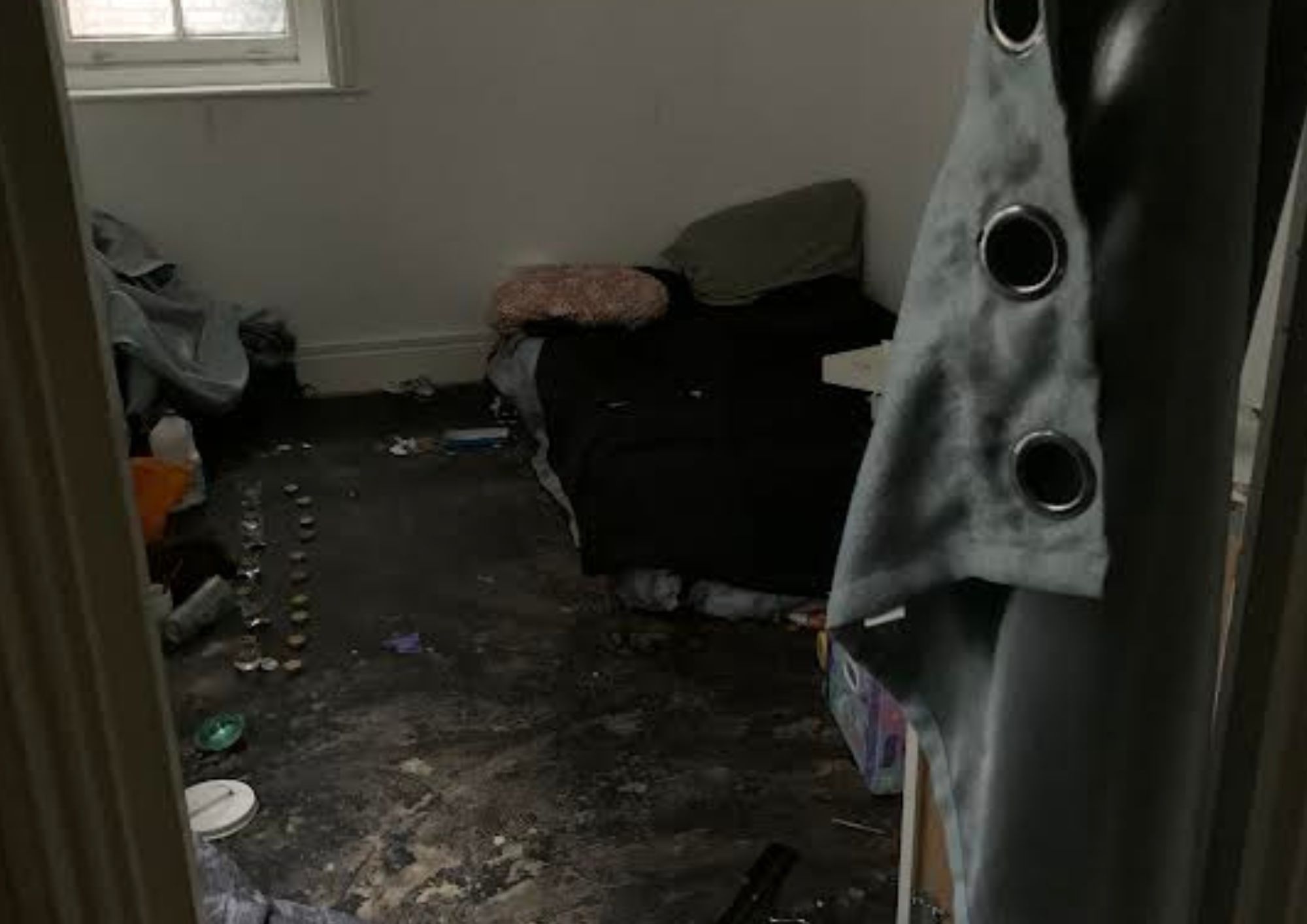 drugs den(2)