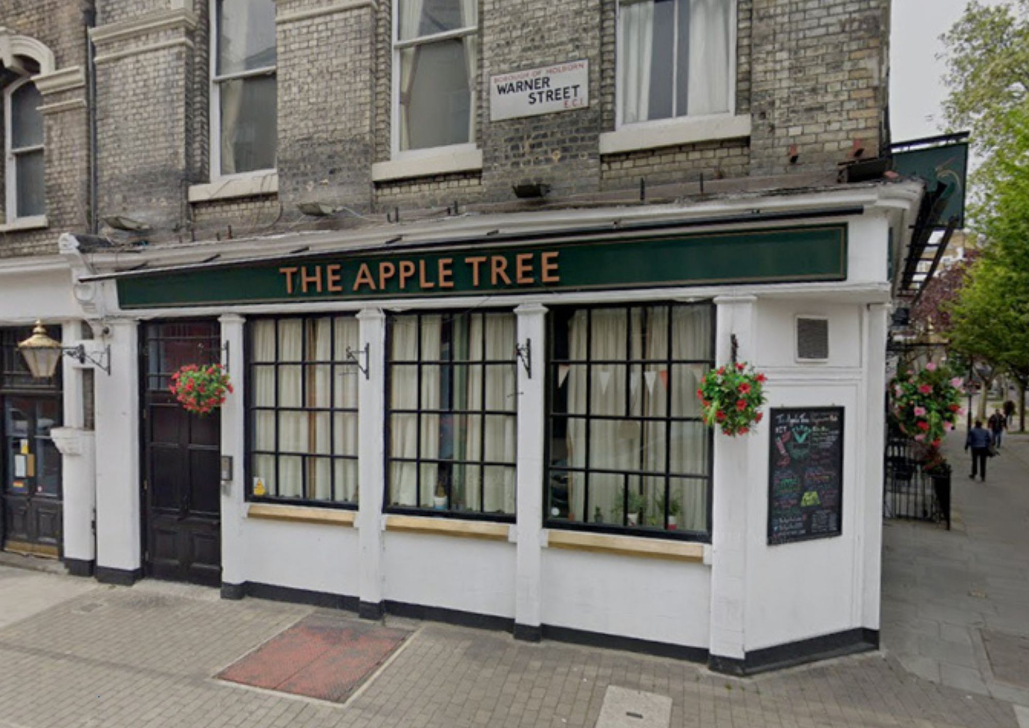 Apple Tree