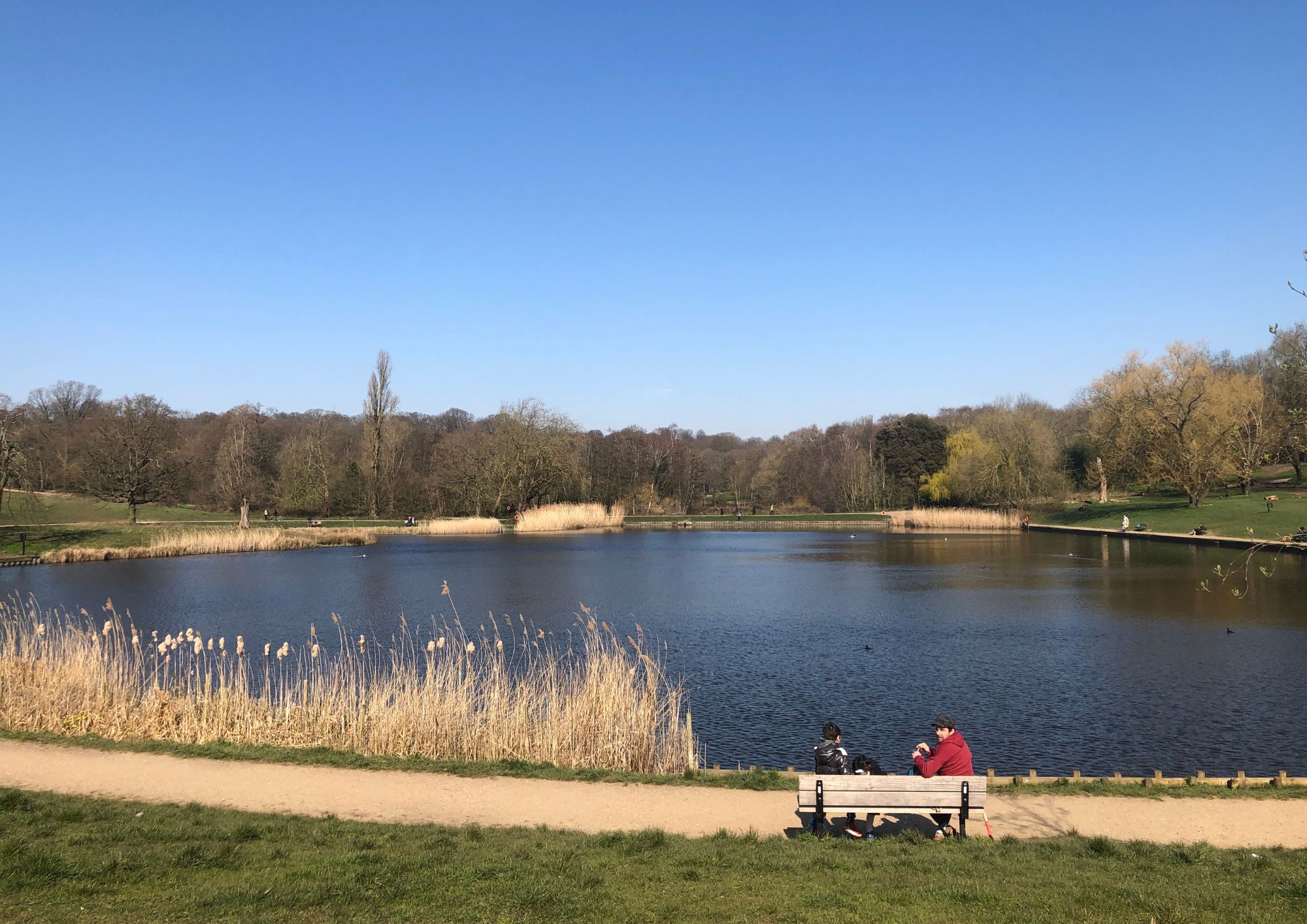 pond (3)