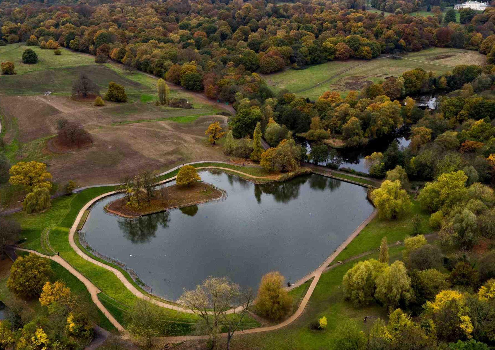New island on Hampstead Heath pond will be a refuge for birds | Camden ...