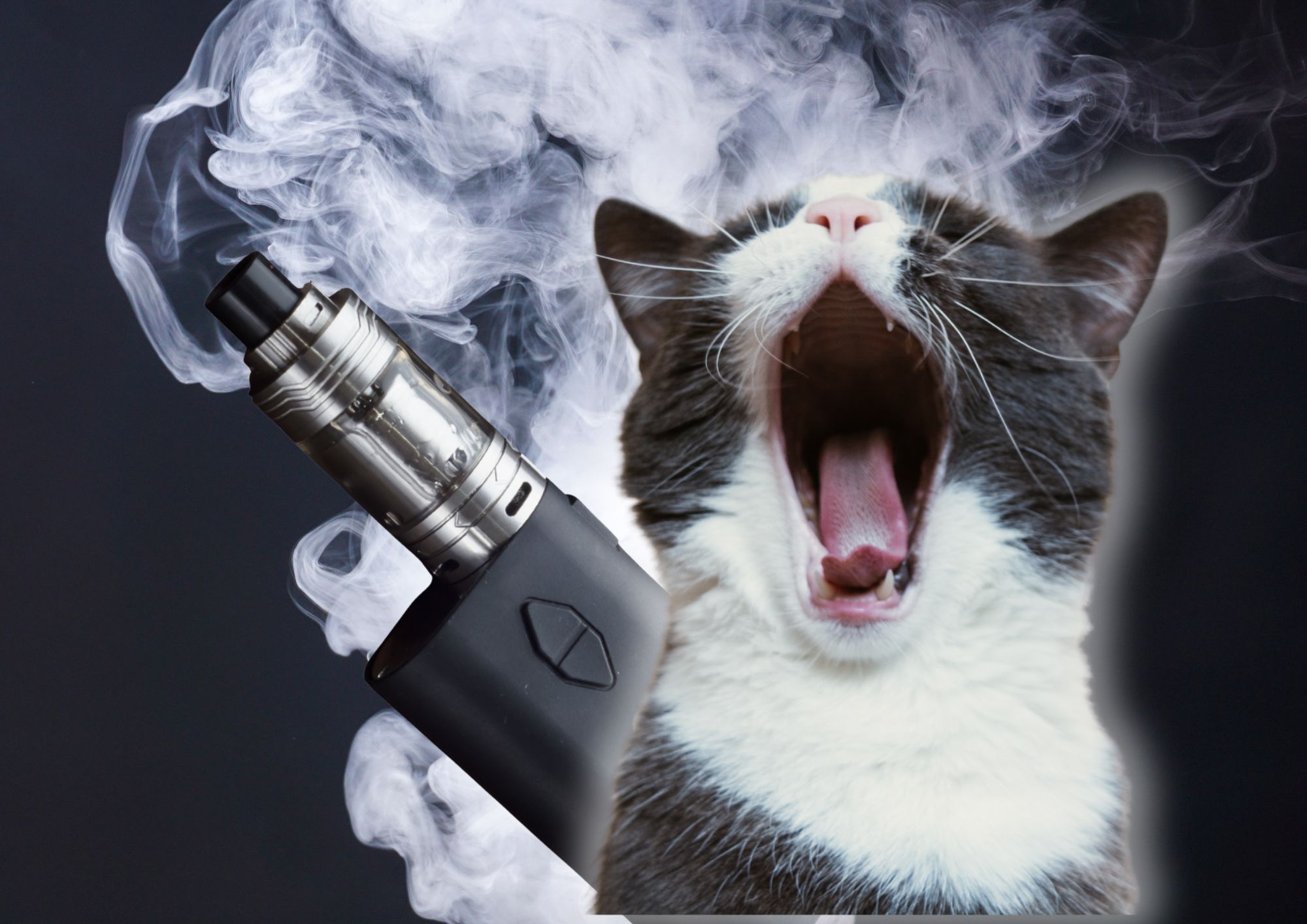 cat vape
