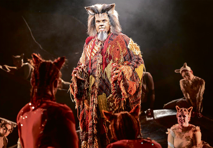 Cats_Gary Wilmot photo Mark Senior