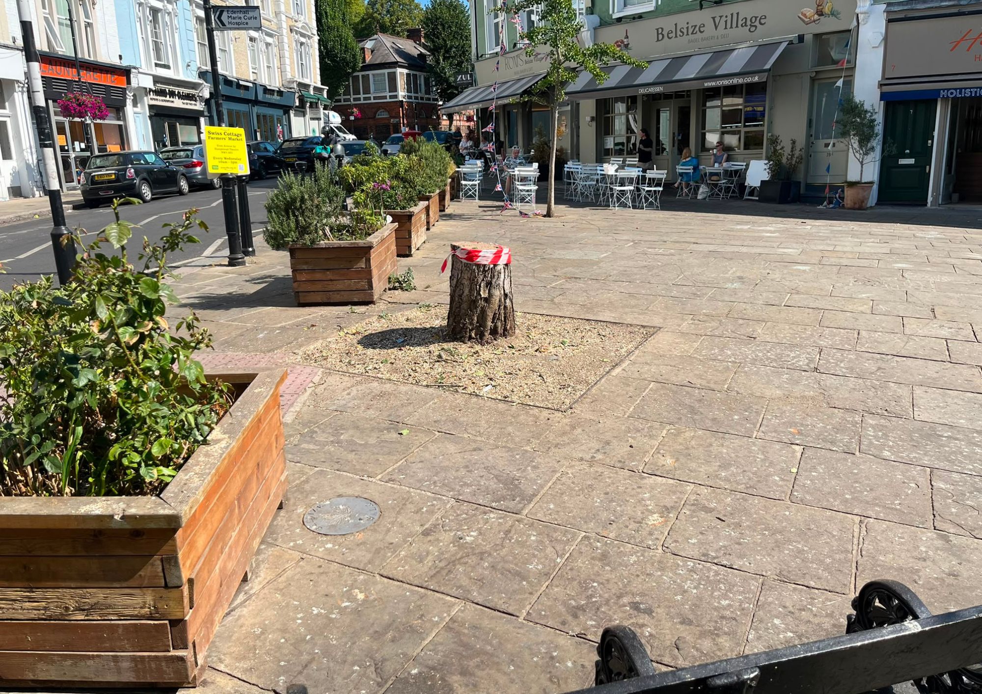 belsize tree